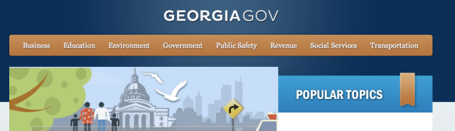 Goergia.gov, coming to a delivery room near you in 2013